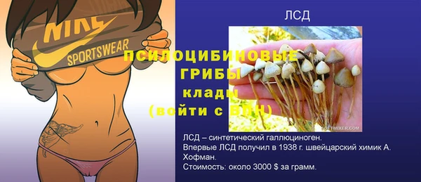 спайс Алзамай