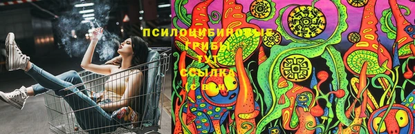 гидра Алексеевка