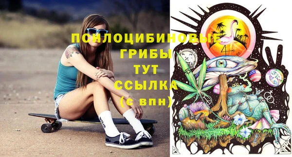 спайс Алзамай